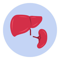 Enlarged liver and spleen icon - obrazy, fototapety, plakaty