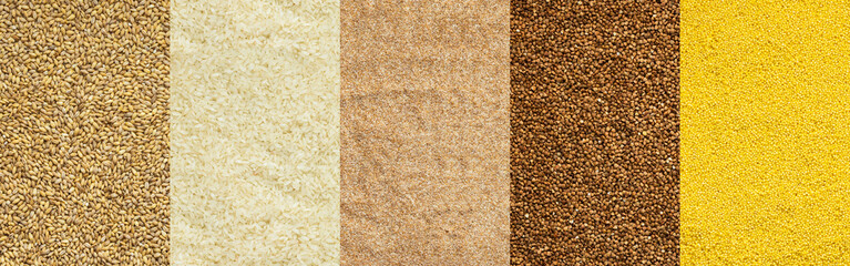 Various grain cereals banner