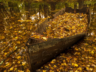 Old rowboat filled with autumn leaves, Monroe, Connecticut.