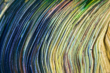 Abstract colorful background. Close-up blended brush strokes with selective focus. Abstract ink...