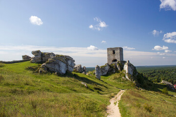 Fototapeta na wymiar Ruins of medieval castle in Olsztyn - Eagle's Nest Trail in Bobolice, Poland