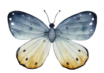 Isolated beautiful blue butterfly, watercolor illustration.