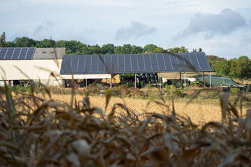 Des panneaux solaires installés sur le toit d'une ferme 