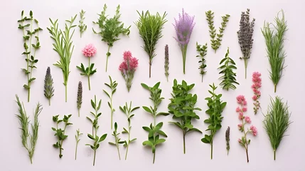 Foto op Aluminium Green aromatic herbs photo realistic flat lay pattern background. © Premium_art