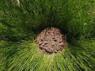 Ausruhen bitte
