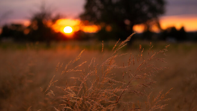 Abendrot