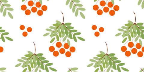 Spring or summer seamless pattern. branch with ripe rowan berries. Vector floating illustration. spring flowering