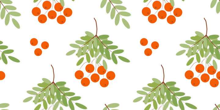Spring or summer seamless pattern. branch with ripe rowan berries. Vector floating illustration. spring flowering