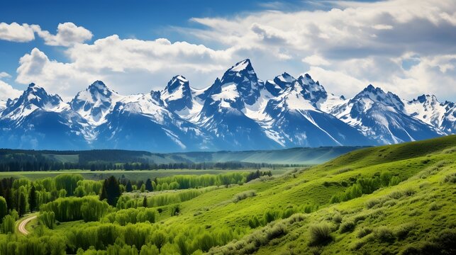 Panoramic view of the mountain range in Alaska, USA.