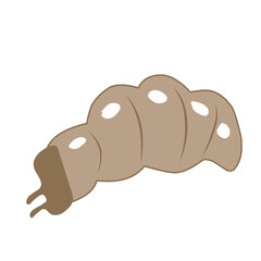 Maggot Larvae Vector Illustration