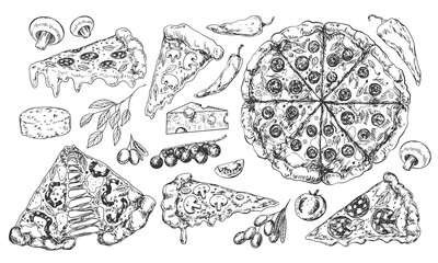 Sketch of italian pizza slices and ingredients. Italian fast food. Pizza pepperoni, salami, mushroom. Illustration for menu. Engraved style. Hand drawn camembert, basil, cherry tomato, olive. Top view