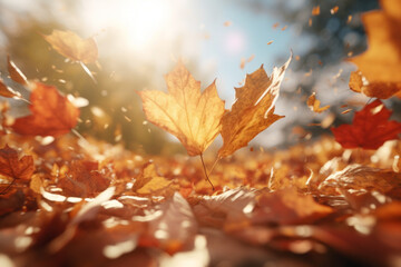 Beautiful autumn leaves fall from the trees, and the colored leaves fly up into the sky. Memories of autumn travel and leisure. Autumn color landscape concept. Beautiful autumn concept. travel concept - Powered by Adobe