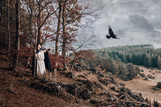 Odin Hugin Munin crow