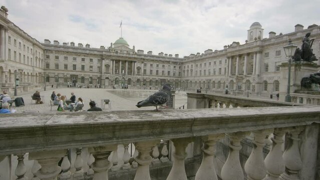 Pidgin pierced on ancient somerset house in London