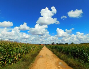 clouds and rural landscapes 