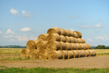 Harvest straw and hay on agricultural field in summer. Rural landscape with hay and straw. © uladzimirzuyeu