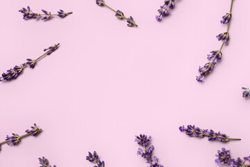 Frame made of beautiful lavender flowers on pink background, closeup