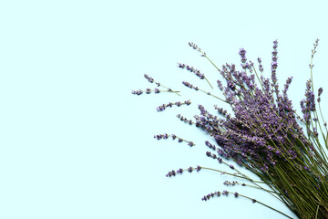 Branches of beautiful lavender flowers on blue background