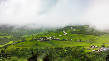 landscape of salalah , oman during the khareef season. 