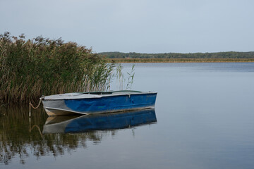 An old colorful boat with shabby beautiful blue paint stands on the shore of a quiet lake with dense thickets of reeds. Peace and harmony of nature, fishing