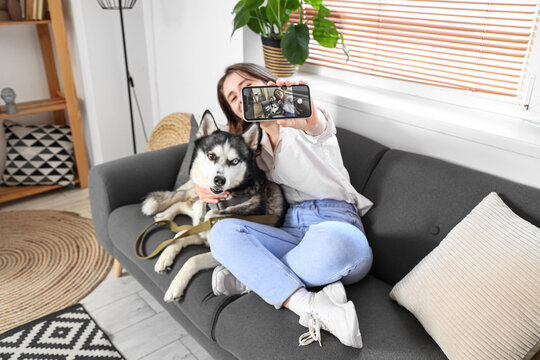 Happy young woman with husky dog taking selfie at home