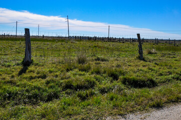 Fototapeta premium Gravel road leading through a picturesque cattle farm.