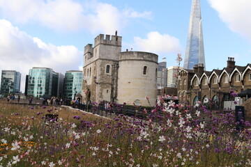 Torre de Londres en verano