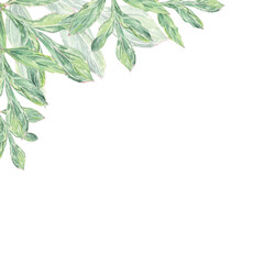 Obraz premium Watercolor frame, border pink peonys hand-drawn in botanical style for use in presentation, wedding, holiday and nature design invitation. Daisy flower for decorating cards, gift wrapping, posters