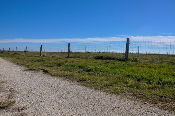 Gravel road leading through a picturesque cattle farm.