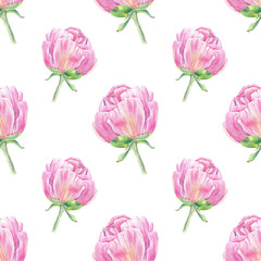 Watercolor seamless pattern peony, rose hand-drawn in botanical style for use in textile, wedding packaging, holiday and nature design invitation. Daisy flower for decorating cards, wallpaper, fabric 