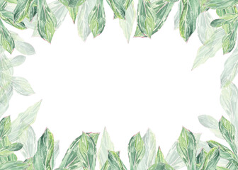 Watercolor frame, border pink peonys hand-drawn in botanical style for use in presentation, wedding, holiday and nature design invitation. Daisy flower for decorating cards, gift wrapping, posters