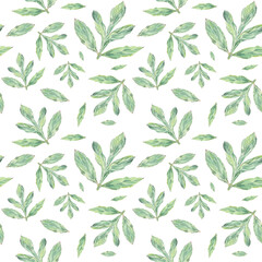 Watercolor seamless pattern peony leaves hand-drawn in botanical style for textile, wedding packaging, holiday and nature design invitation. Daisy greenery for decorating cards, wallpaper, fabric