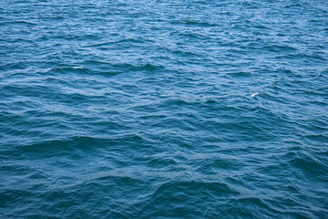 waves on the sea surface. Blue water asbstract. 