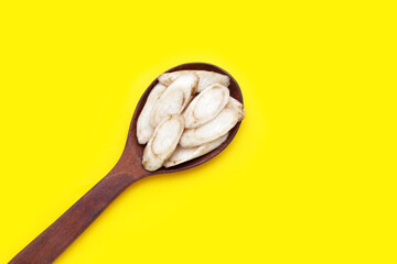 Burdock Root (Gobo) on yellow background.