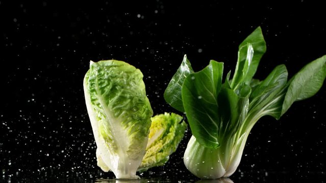Super slow motion of raw salad and pak choi head with water splash. Filmed on high speed cinema camera, 1000 fps. Isolated on black background.
