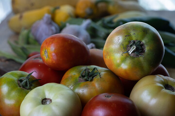 Summer vegetable harvest medley of various vegetables.