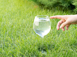 a wine glass with clear water stands on a green lawn in the garden, a woman's hand reaches out to it