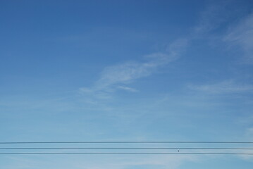 White high clouds. White translucent cirrus clouds blurred in the light blue sky. They are at high...