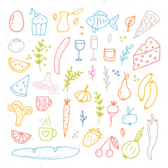 Hand drawn set of different food and drinks. Doodle style. Healthy food ingredients