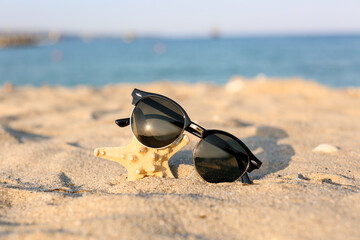 Stylish black sunglasses and starfish on seashore