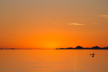 Puesta de sol que pinta el cielo y mar de anaranjado en las playas de Sonora México y pelicanos nadando