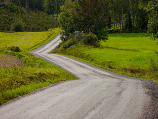 Fototapeta na wymiar a winding road in the countryside