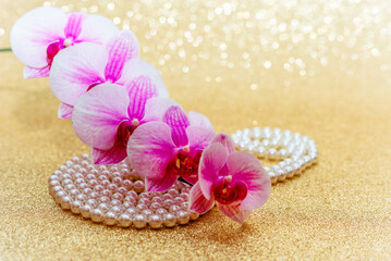 purple Orchid and pearl necklace on a shiny gold background
