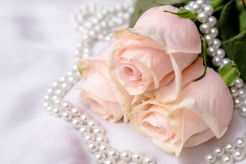 The branch of pink rose on white fabric background
