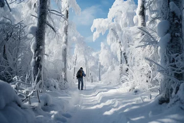 Gordijnen A skier glides through a snowy forest, immersing in the quiet and beauty of a cross-country skiing journey. Generative Ai. © Sebastian