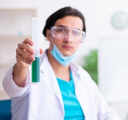 Young male chemist working in the lab