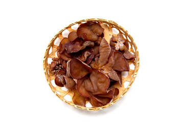 Black fungus mushroom on white background.