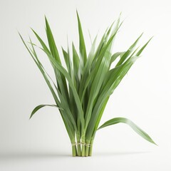 A tall green plant on a white table