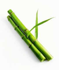 A group of green bamboo sticks arranged neatly