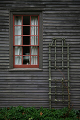 Fototapeta na wymiar Window and Trellis